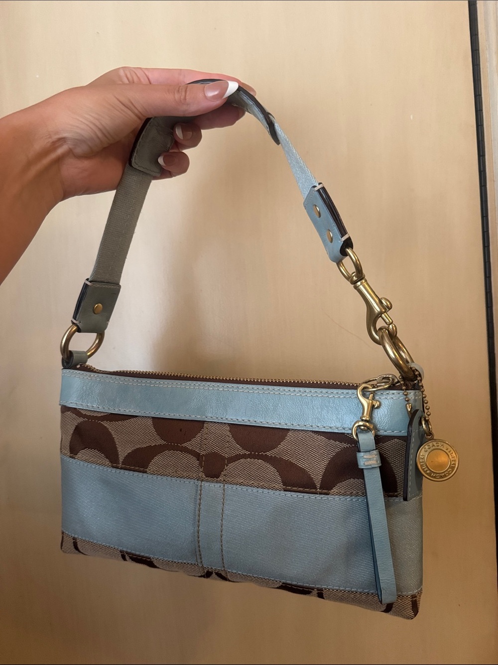 Coach Blue and Brown Signature Shoulder Bag